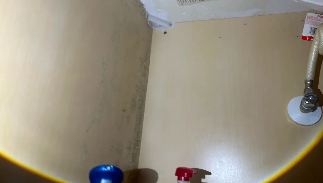 1 Residential Mold & VOC Inspection SP