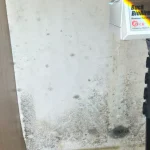 6 Commercial Mold & VOC Inspection SP